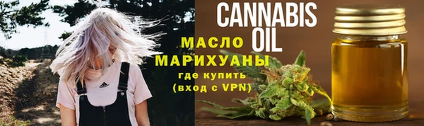 СК Алексин