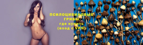 PSILOCYBIN Алзамай