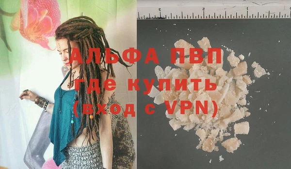 PSILOCYBIN Алзамай