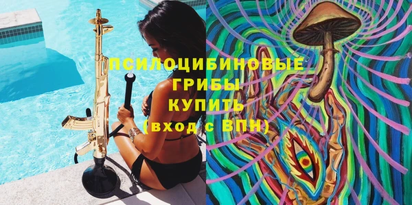 амф Алексеевка