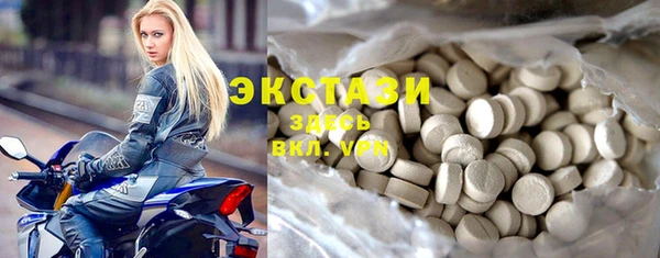 СК Алексин