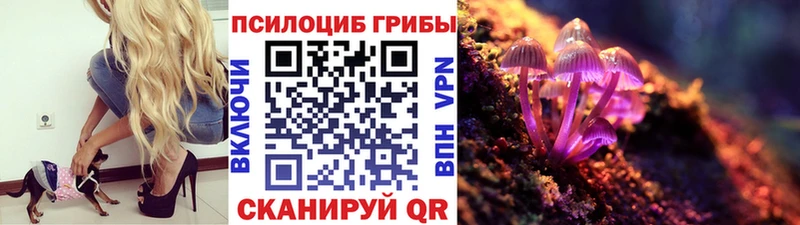 Галлюциногенные грибы Psilocybe Бавлы