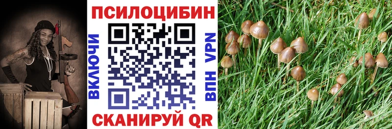 где можно купить наркотик  Бавлы  мега онион  Псилоцибиновые грибы ЛСД 
